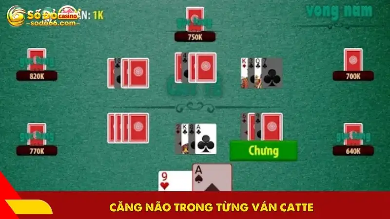  Căng não trong từng ván catte